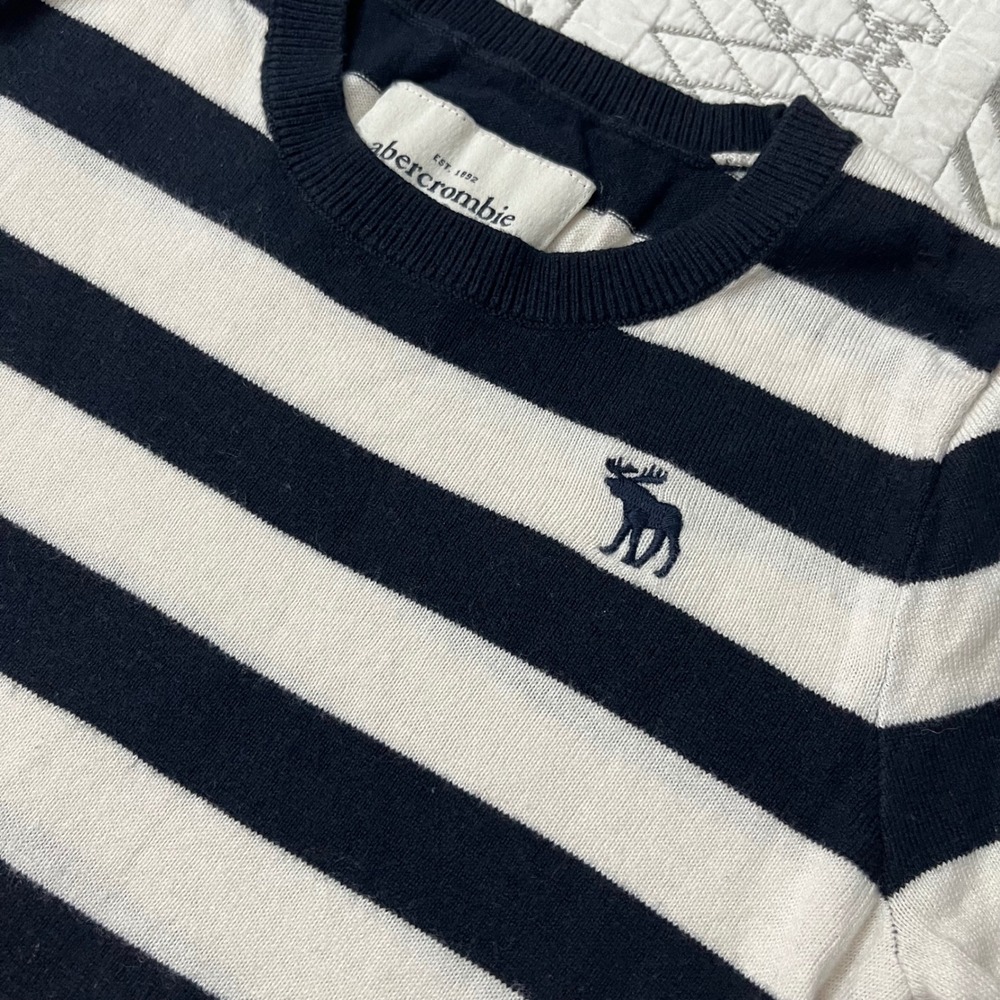 Abercrombie Kids XL Striped Long Sleeve Crew Neck Sweater Moose Logo Preppy
